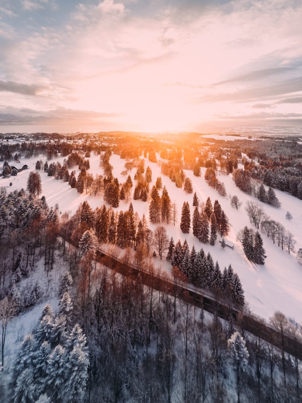 empty road and pine trees on snowy field during golden hour